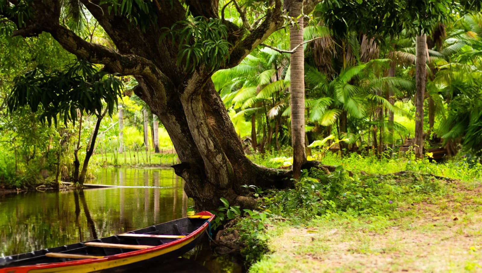 Paisagem natural de Tutóia, no Maranhão