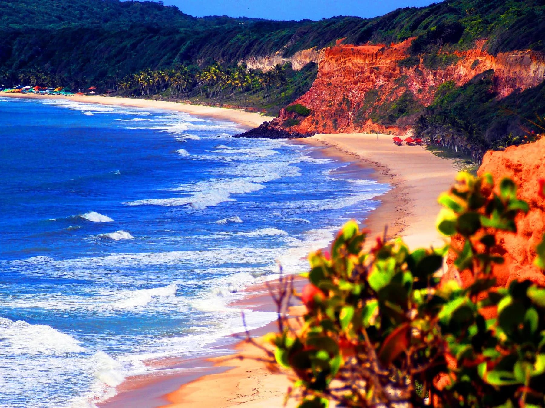 Praia do Amor, em Pipa, com falésias avermelhadas, coqueiros e mar azul
