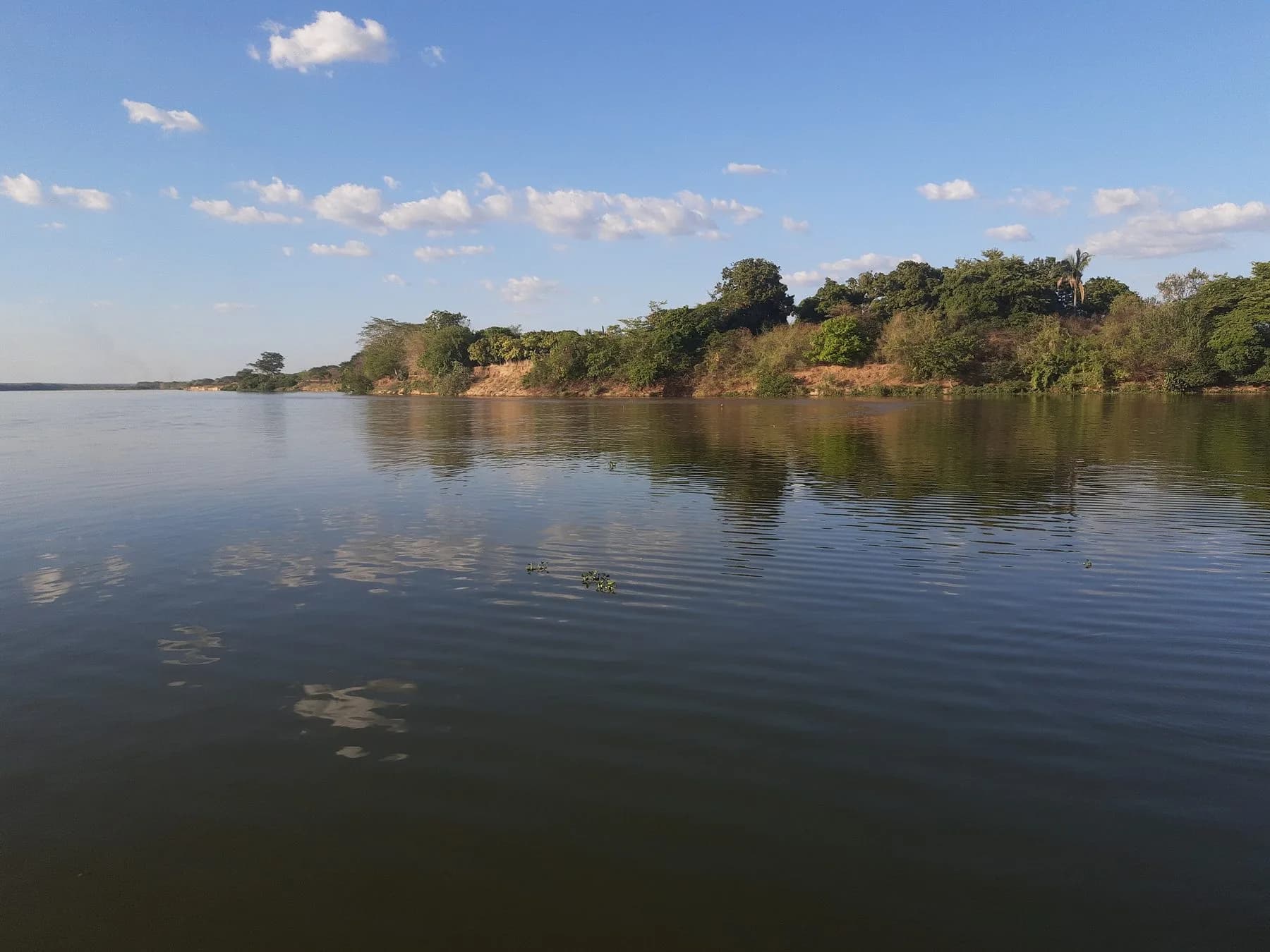 Passeio ao Encontro dos Rios em Teresina, com rio largo e margem arborizada