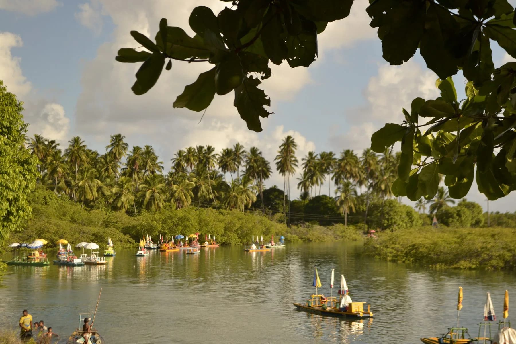 Jangadas coloridas no manguezal do passeio ao Pontal de Maracaípe, em Porto de Galinhas