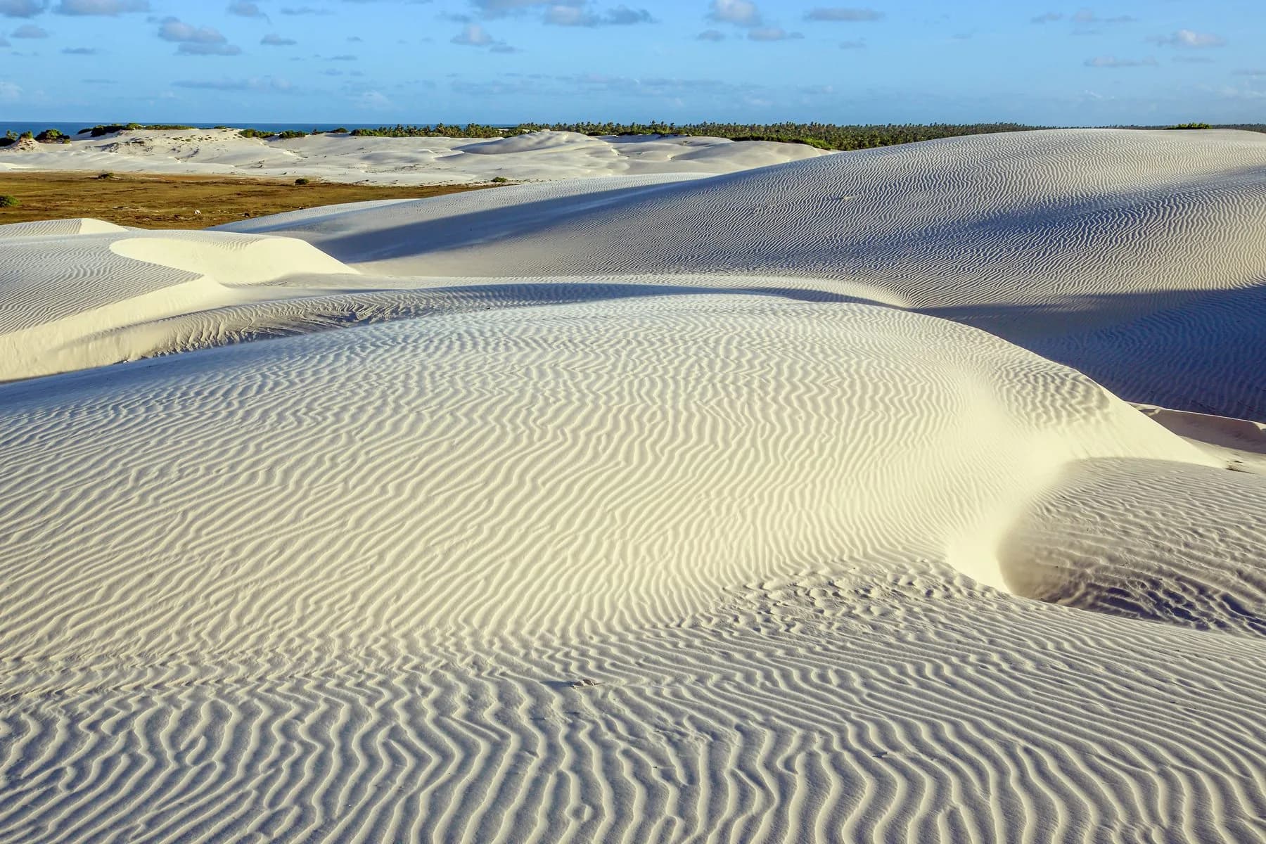 Dunas de areia no passeio de Buggy Praia do Saco e Mangue Seco