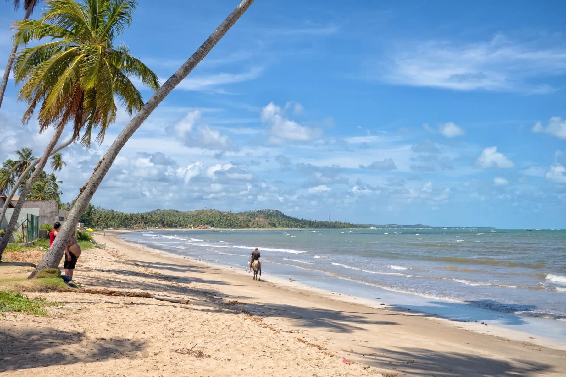 Praia de Maragogi com coqueiros, ondas e cavaleiro à beira-mar