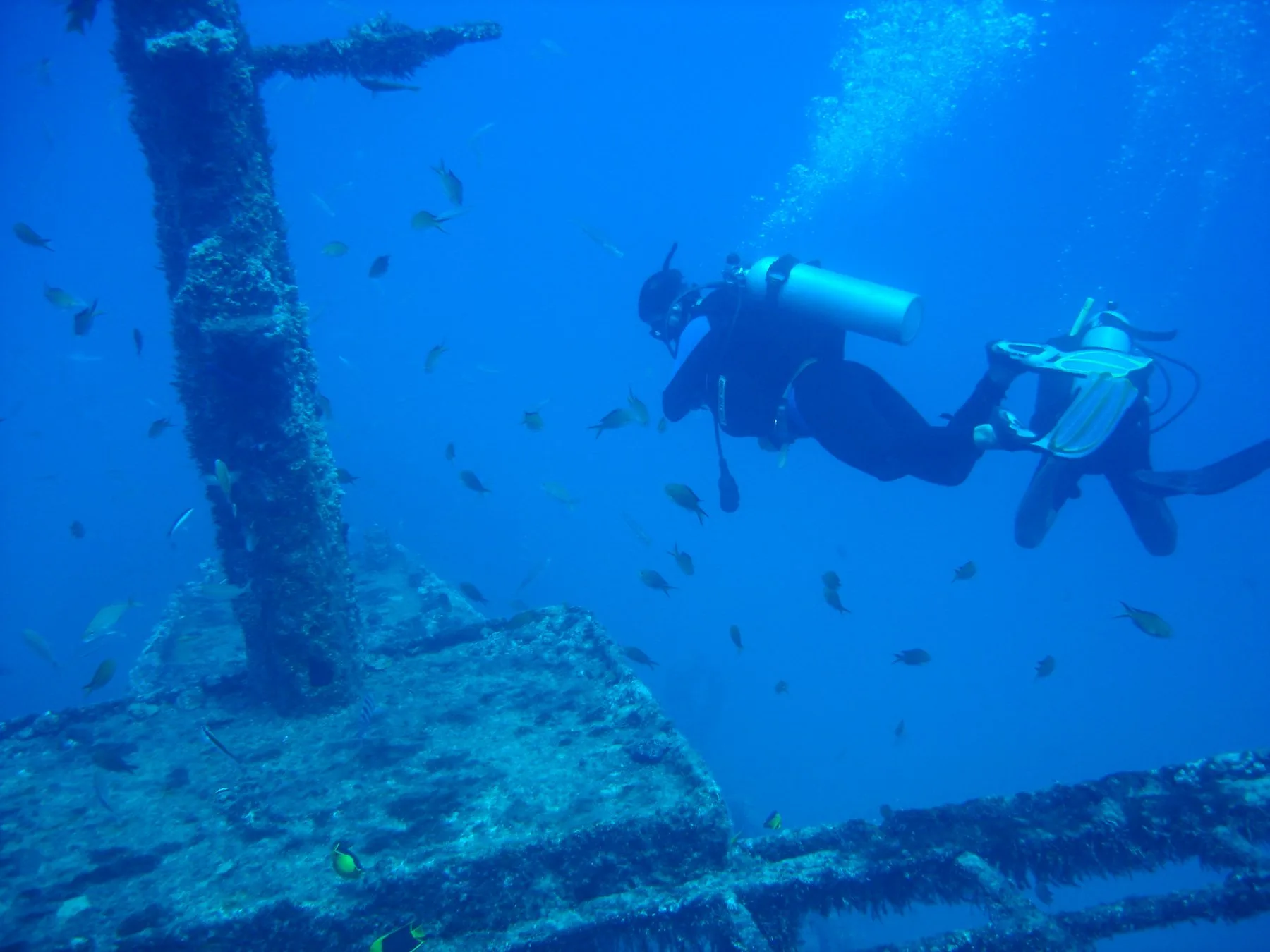 Mergulhador explora estrutura submersa entre peixes no mergulho com cilindro em Porto de Galinhas