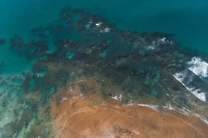 Passeio Guajiru e Flecheiras Fortaleza