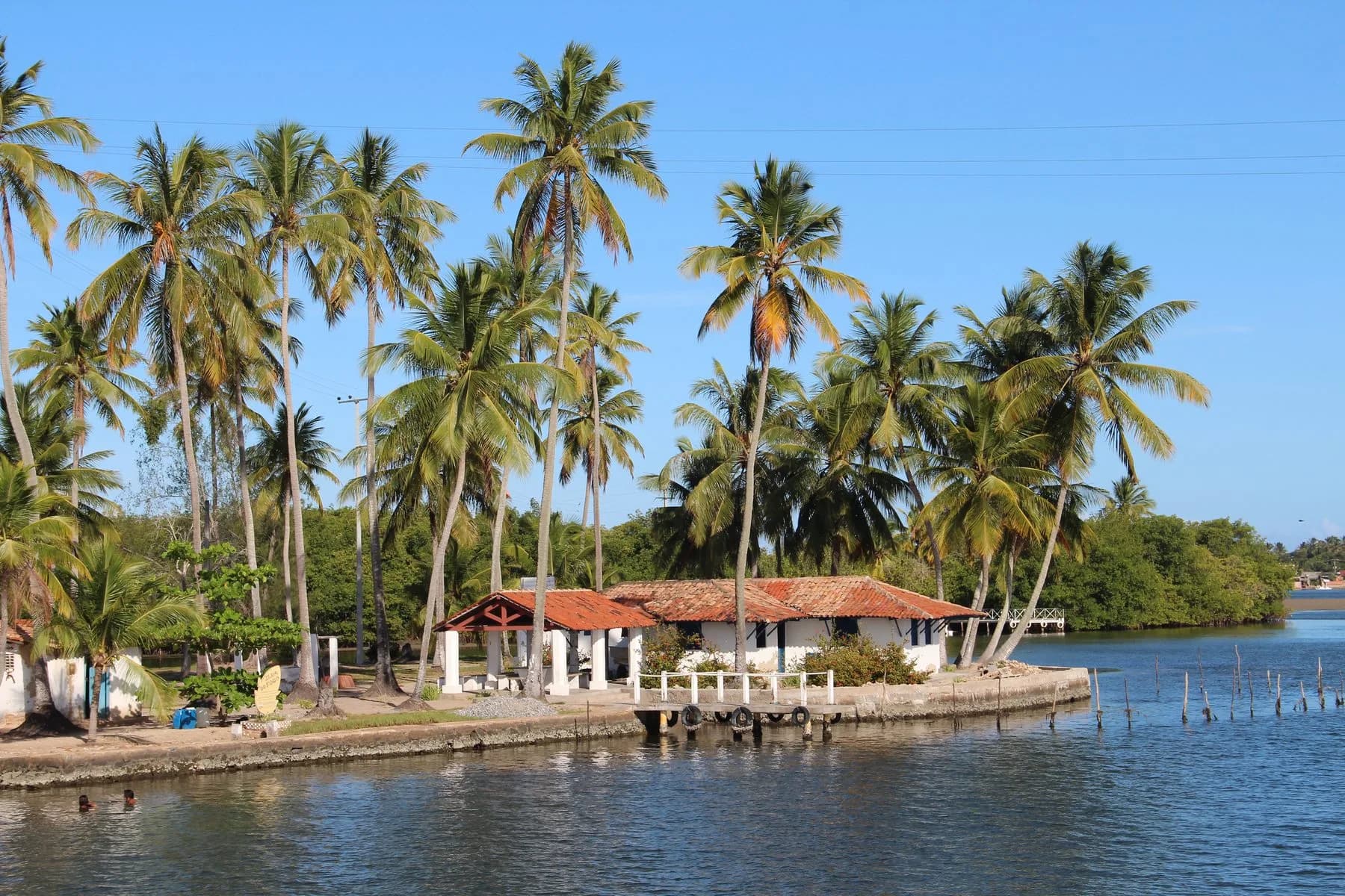 Passeio Nove Ilhas com coqueiros, casa à margem e águas tranquilas em Maceió