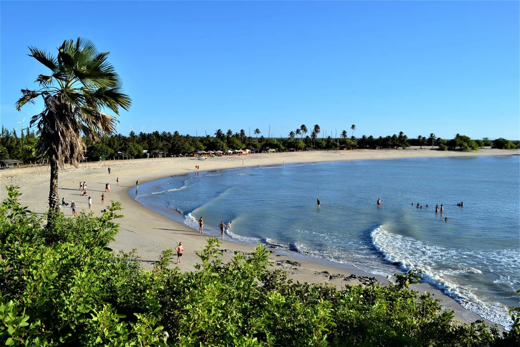 Praia de São Miguel do Gostoso com coqueiro, mar calmo e banhistas na faixa de areia