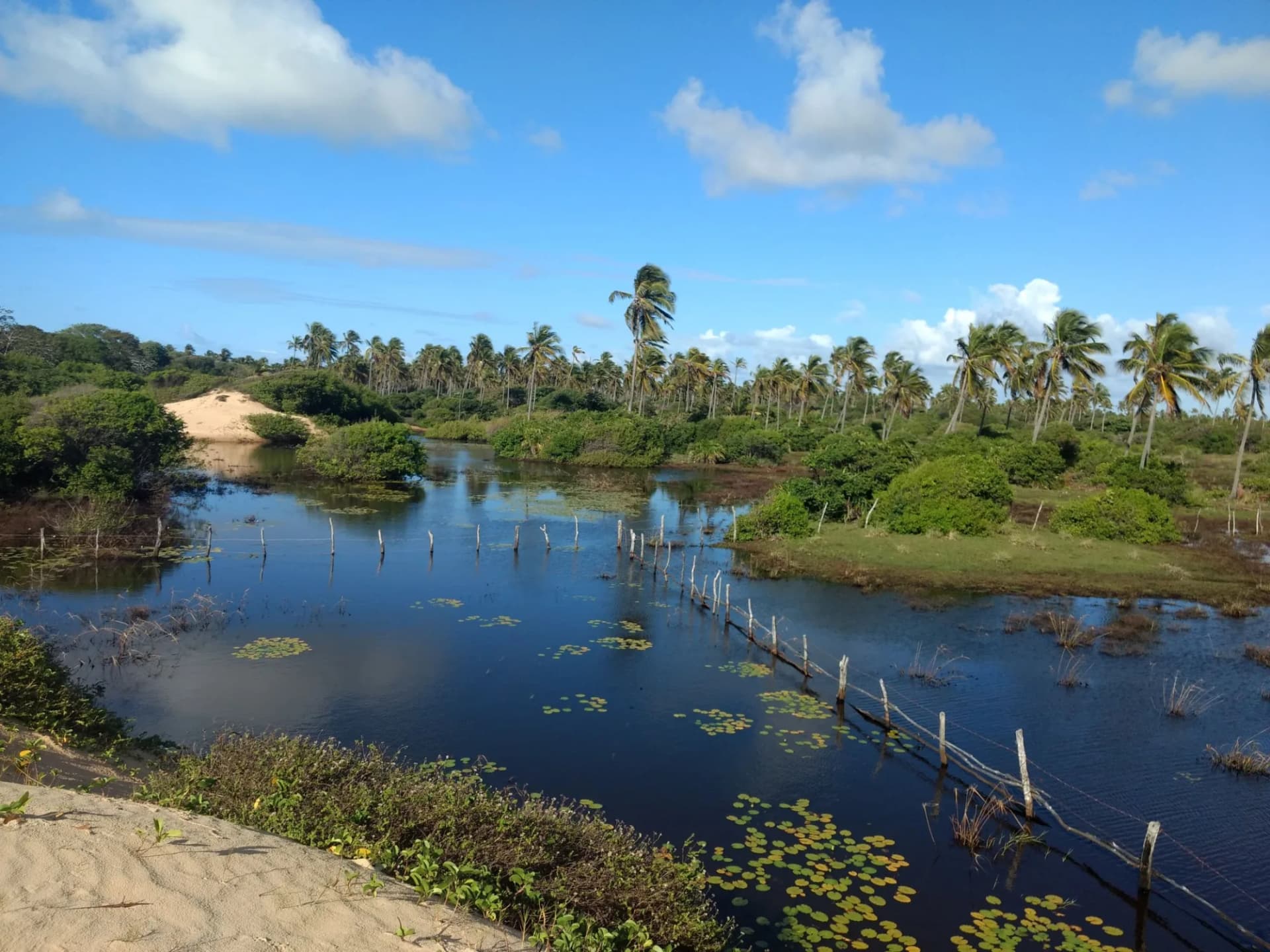 Paisagem de Praia da Caueira, Sergipe